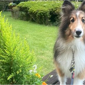 あとちょっと…