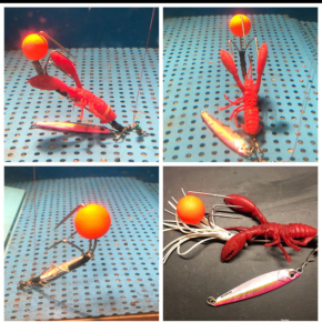 駿パパ考案第三のタコルアー試し釣り