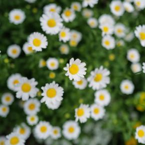 2024年撮った写真まとめ、のメモ