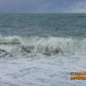 最強寒波と言われると構えてしまった・・・、雪は全く積もらず・・。