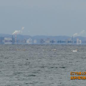 富山湾の見事なリフレクションの風景！ 水鏡では無い「下位蜃気楼」