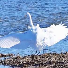 名曲百選第八章（9）2026年のスタートは豪華なメンバーで洋楽のスタンダード