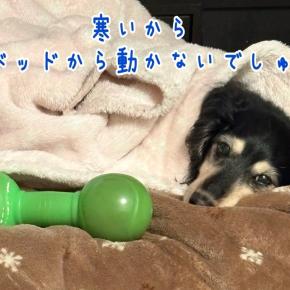 灯油ストーブが懐かしい