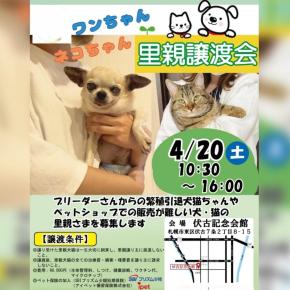 里親譲渡会のお知らせ