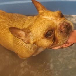 子供達と大晦日