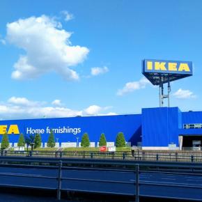 なっぱ(譲渡会のお礼)