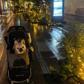 愛犬と高輪ディナー@ニュウマン高輪 