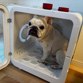 思い切ってプレゼント