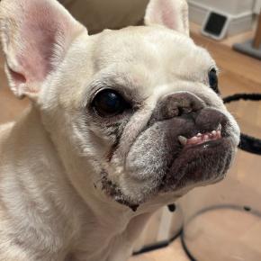 エリカラの縁取り！あるとないとで大違い