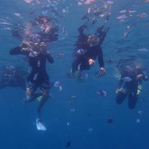 【オクマナビ】ビーチシュノーケリング！今年の8月も遊びに来てくれました♪