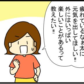 なぁ太を育て終わり思うこと⑧