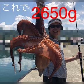 駿パパIIタコ釣り日誌でタコ釣り攻略法が見つかる！