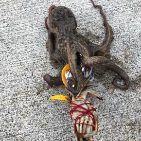 やっぱり蟹テンヤは強い‼️