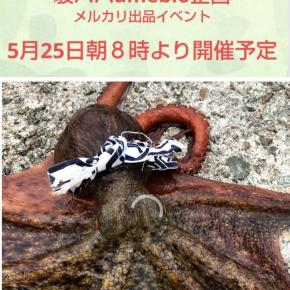 タコ釣りブログよりも皆が知りたい事・・・！