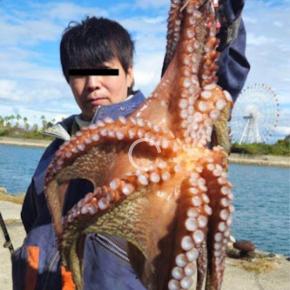 タコ釣りの聖地、淡路島！蛸が釣れるポイント大公開、大盤振、