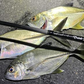 横浜、船に乗り初のメッキ狙い！