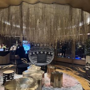 帰って来ました