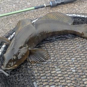 アフターパーティー！！