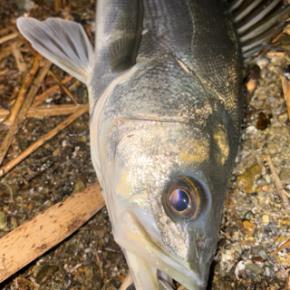 良い思いができた