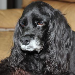 呼ばれた時のミライの反応