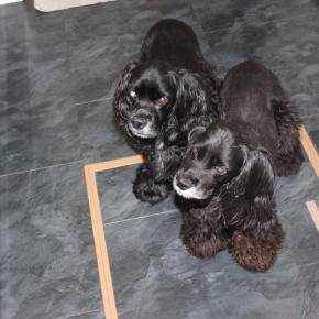 秋の味覚 スイートポテト