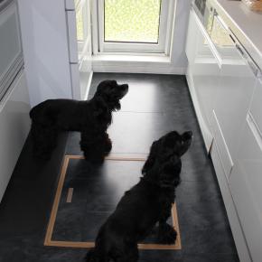 コロナワクチン2回目打ってきました