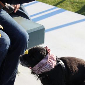 花ロード恵庭でソフトクリーム食べてきました