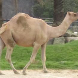 あけましておめでとうございます