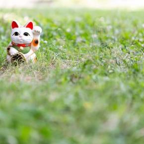 資産がエグイ。