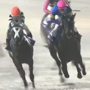 2024年9月12日 大井競馬予想