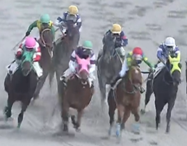 2026年1月3日 園田競馬予想