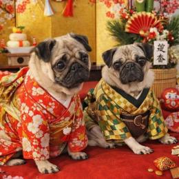 あけましておめでとうございます