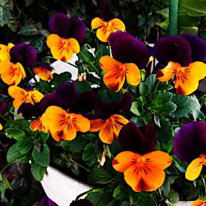 ChatGPT 0017: 90年代のレゲエ・シーンについて質問してみました