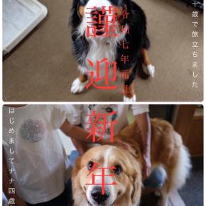 ナナのゲーリー祭りで年越し