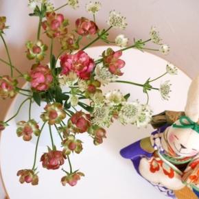 一年の最後に、すごい人を 知ってしまいました・・！