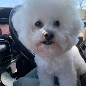 私の癒しと楽しみ😍💐🩵🩷🩵🩷