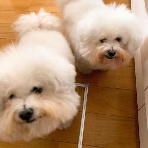 意識を変えたら幸せと楽しい日々になった😆♬.*ﾟ