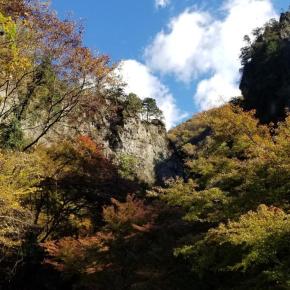 東京都檜原 村(?)