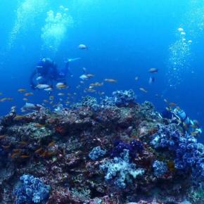 10/6 プールでした