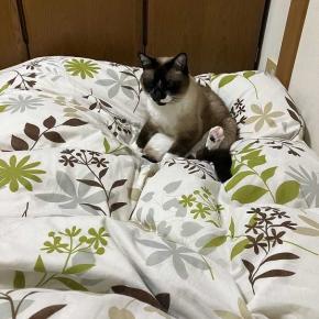 娘、息子が帰っていきました。寂しいわ～。普段の生活に戻りましたね