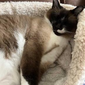 菜園の調子と主人の実家のこと