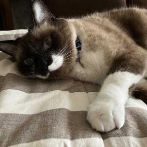 早朝に釣りに行った主人と東京出張の息子