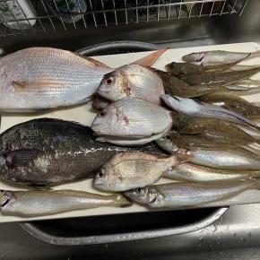 さあ、今日は無事に更新できるかしら？