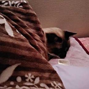 主人が明日大腸がん検査がありますのでその準備をしました