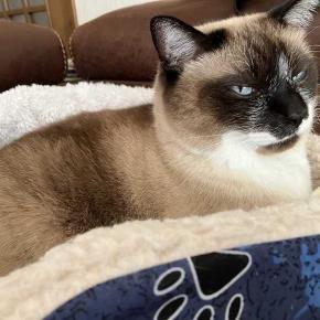 そろそろ始めた年末の小掃除