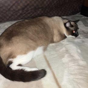 普通の市販の胃薬で胃の具合がよくなりました。