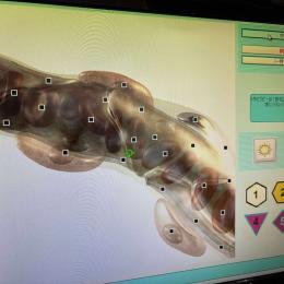 お家で過ごす大晦日！