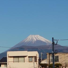 「居酒屋 三園」沼津