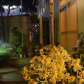 和食処「杉のや」沼津