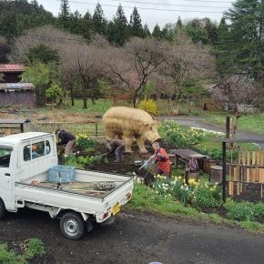 霧の立ち昇る朝に始めた木札掛け作業 ◇ たくみの里を回ります